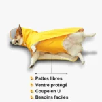 impermeable-corgi-ventre-protege-coupe-u impermeable corgi ventre protege coupe u