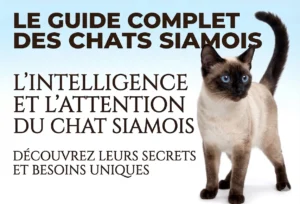 Noms de Chien Commençant par A : Guide Complet le guide siamois