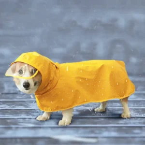 manteau pluie corgi visiere transparente