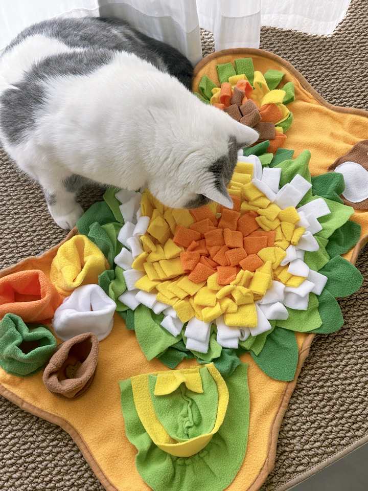 Gamelle ludique pour chat : quel modèle choisir ? Tapis à renifler snuffle mat pour chat avec croquettes cachées dans les franges colorées