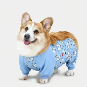 Combinaison Corgi Protection Ventre & Éléphants Bleus
