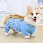 Combinaison-Corgi-Protection-Ventre-&-Éléphants-Bleus-a-domicile Combinaison Corgi Protection Ventre Elephants Bleus a domicile