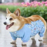 Combinaison-Corgi-Protection-Ventre-&-Éléphants-Bleus-profile Combinaison Corgi Protection Ventre Elephants Bleus profile