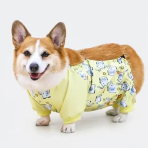 Combinaison Imperméable Anti-Boue pour Corgi - Protection Ventre Intégrale - Spécial Pattes Courtes