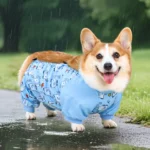 Combinaison-Corgi-happy-Protection-Ventre-&-Éléphants-Bleus Combinaison Corgi Protection Ventre Elephants Bleus