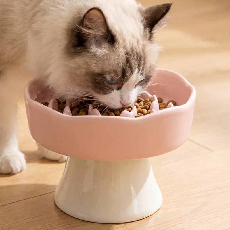 Chat mangeant lentement ses croquettes dans la gamelle ludique surélevée rose en céramique