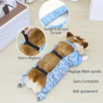 combinaison-protection-ventre-corgi-pratique bombinaison protection ventre corgi pratique