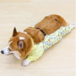 corgi-marche-combinaison-totale