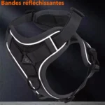 harnais-bandes-reflechissantes Détail des bandes réfléchissantes sur harnais pour chat