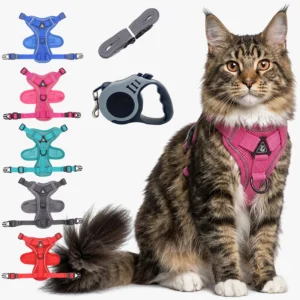 Harnais pour Maine Coon avec Laisse et Enrouleur | Kit Complet Sécurisé