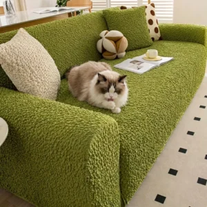 Chat Ragdoll assis sur Housse de Canapé Gaufrée Bulle de Crème vert mousse, protection anti-griffes en situation réelle