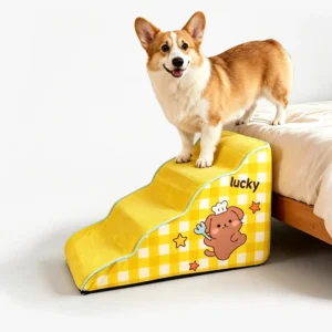 Corgi utilisant un escalier pour chien à côté du lit