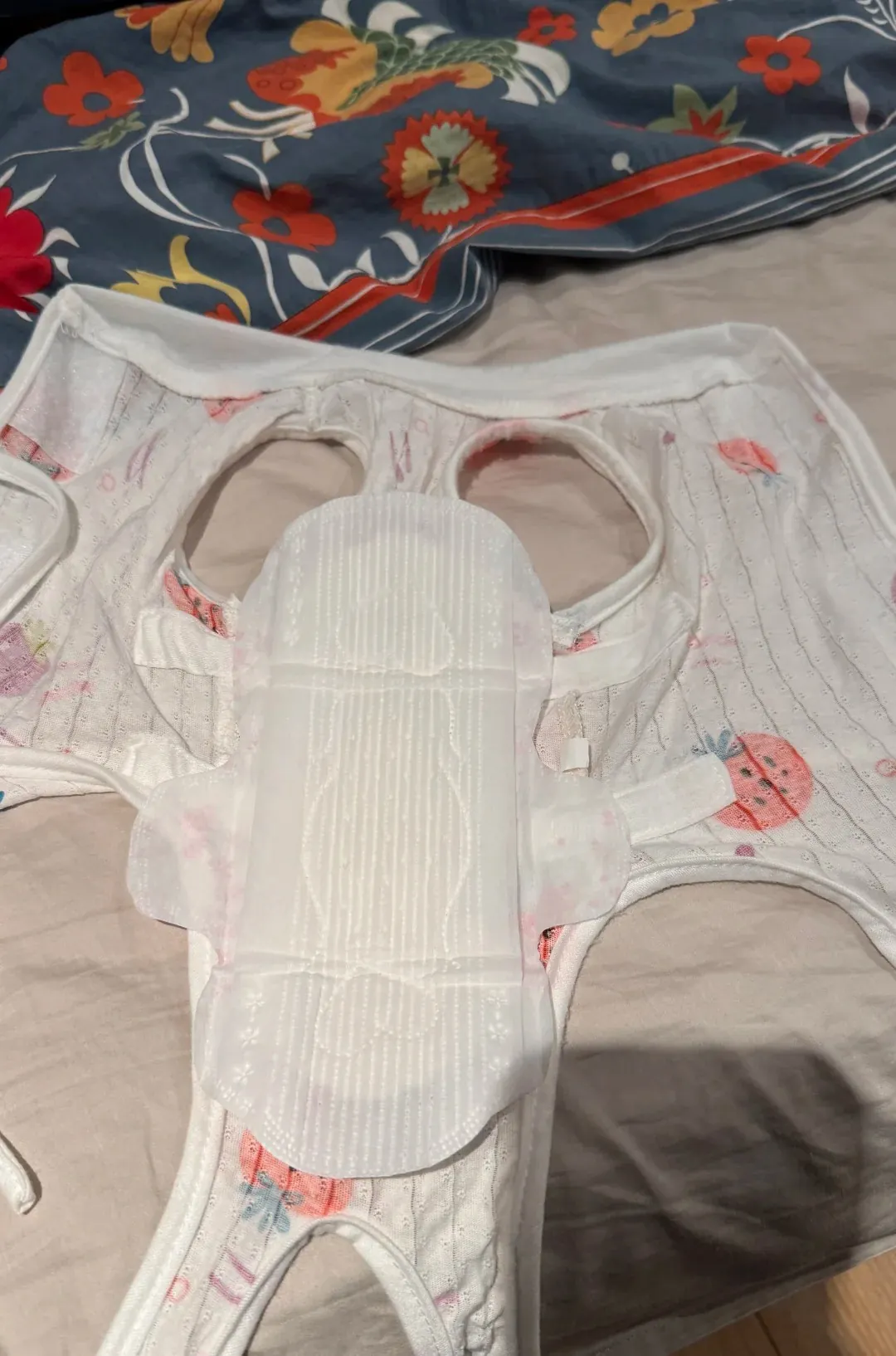 Serviette hygiénique collée à l'intérieur d'un body de chat après stérilisation, à l'endroit de la plaie