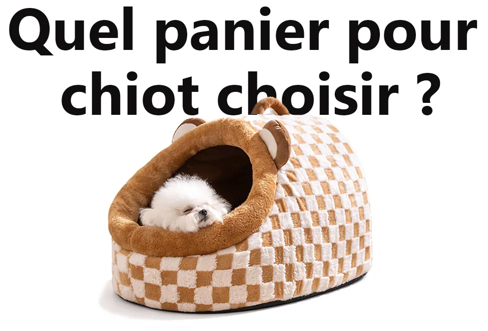 Quel panier pour chiot choisir ? Taille, matière et premières nuits Quel panier pour chiot choisir ?