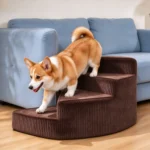 Corgi qui descend d'un canapé bleu par un escalier pour chien en éventail marron