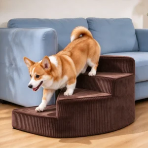 Corgi qui descend d'un canapé bleu par un escalier pour chien en éventail marron