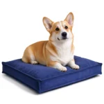Corgi couché sur un coussin pour chien de 10 cm d'épaisseur, bleu marine