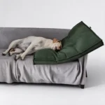 Coussin pour chien en velours côtelé vert posé sur un canapé, à côté d'un chien endormi
