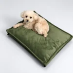 Petit chien blanc couché sur un coussin pour chien vert olive
