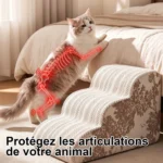 Escalier pour chat qui évite les sauts et protège les articulations