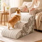 Corgi qui monte sur le canapé par un escalier pour chien café crème à 3 marches