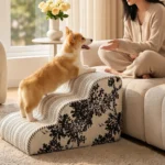 Corgi qui monte sur le canapé par un escalier pour chien noir et blanc