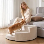 Corgi qui monte un escalier pour chien beige à 3 marches pour rejoindre sa maîtresse sur le canapé
