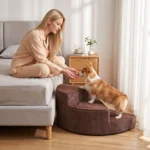 Femme qui guide un Corgi avec une friandise sur un escalier pour chien marron à 3 marches