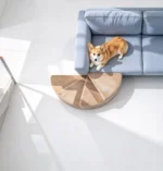 Escalier pour chien en éventail beige dans l'angle d'un canapé bleu, Corgi couché sur l'assise, vue de dessus