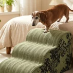 Teckel âgé qui descend du lit par un escalier pour chien vert à 3 marches