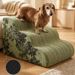 Teckel sur un escalier pour chien vert, avec le détail de la base à picots antidérapants