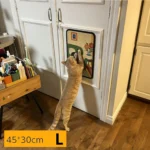 Chat roux qui griffe un griffoir mural en sisal taille L 45 × 30 cm fixé sur une porte de placard