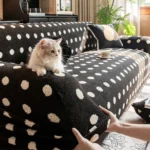 Chat persan sur un canapé pendant la pose d'une housse bouclette noire à pois