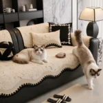 Deux chats Ragdoll qui jouent sur un jeté de canapé imperméable kaki