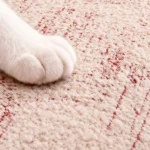 Patte de chat posée sur la chenille d'un jeté de canapé anti-griffes