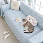Chat tigré et blanc allongé sur l'assise d'un jeté de canapé bleu ciel, vue de haut