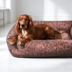 Panier chien déhoussable en tweed rouge marron, chien épagneul couché entre les rebords hauts