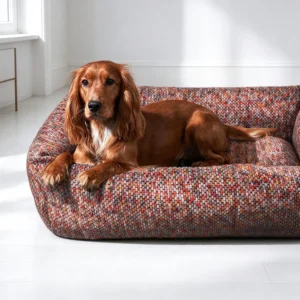 Panier chien déhoussable en tweed rouge marron, chien épagneul couché entre les rebords hauts