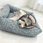 Schnauzer avec une collerette de convalescence couché dans un panier en tweed bleu gris