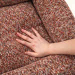 Main posée sur le couchage en tweed doux et moelleux du panier chien