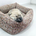 Chiot endormi dans un panier en tweed gris beige, la tête posée sur le rebord